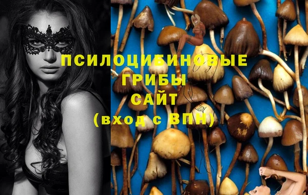 дурь Рославль