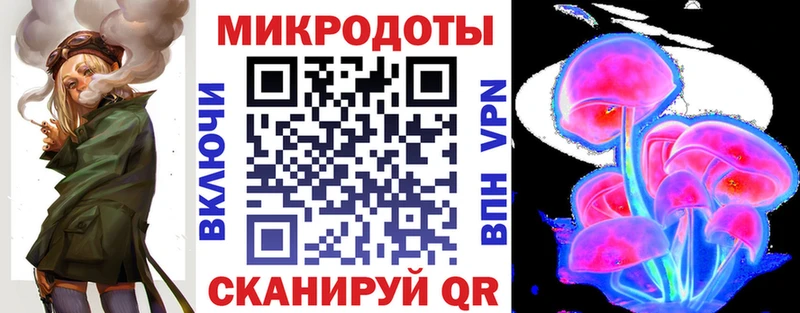 Псилоцибиновые грибы Psilocybe Елец